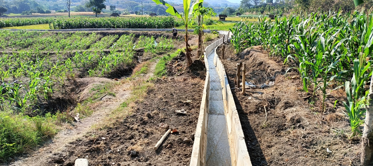 Pembangunan dan Rehabilitasi saluran irigasi